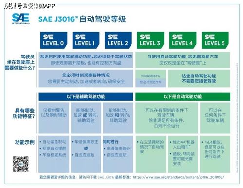 立足本土，智驾未来 AI芯片厂商如何在国内市场把握自动驾驶发展机遇